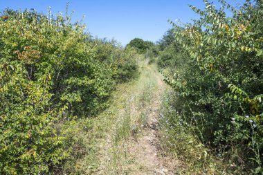 Rudina Dağı, Pernik Bölgesi, Bulgaristan 'ın İnanılmaz Yaz Manzarası