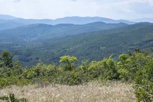 Erstaunliche Sommerlandschaft Des Rudina Gebirges Region Pernik Bulgarien — Stockfoto