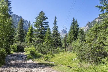 Amazing Summer landscape of Rila Mountain near Malyovitsa hut, Bulgaria