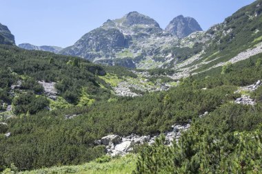 Amazing Summer landscape of Rila Mountain near Malyovitsa hut, Bulgaria