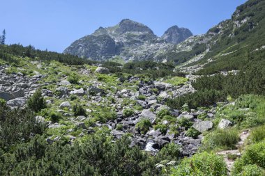 Amazing Summer landscape of Rila Mountain near Malyovitsa hut, Bulgaria