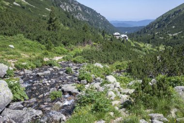 Amazing Summer landscape of Rila Mountain near Malyovitsa hut, Bulgaria