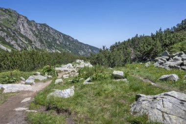 Amazing Summer landscape of Rila Mountain near Malyovitsa hut, Bulgaria