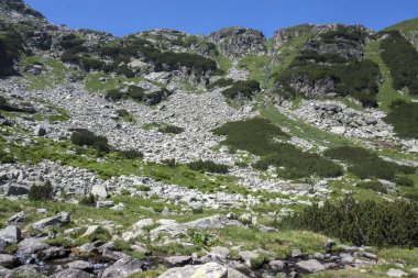 Amazing Summer landscape of Rila Mountain near Malyovitsa hut, Bulgaria