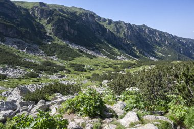 Amazing Summer landscape of Rila Mountain near Malyovitsa hut, Bulgaria
