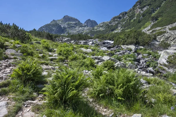 Amazing Summer landscape of Rila Mountain near Malyovitsa hut, Bulgaria