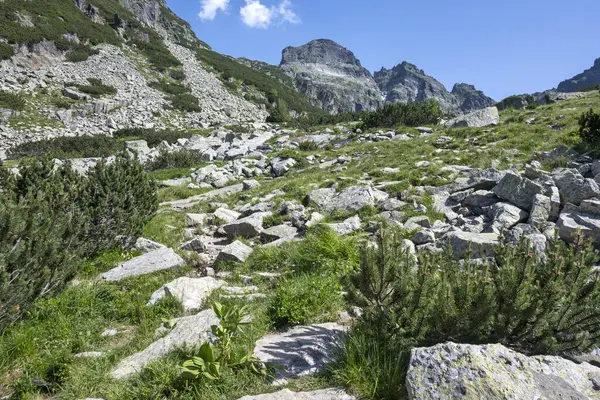 Amazing Summer landscape of Rila Mountain near Malyovitsa hut, Bulgaria