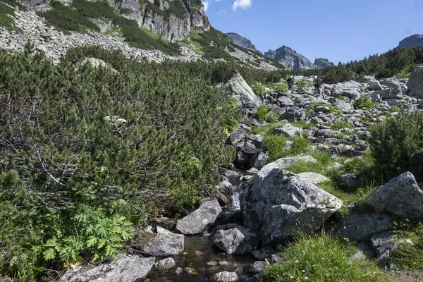 Amazing Summer landscape of Rila Mountain near Malyovitsa hut, Bulgaria