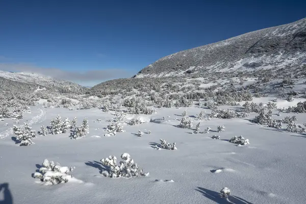 Erstaunliche Winterlandschaft Des Rila Gebirges Der Nähe Des Musala Gipfels — Stockfoto