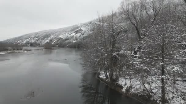 Vinterutsikt Över Pancharevo Sjö Sofia Stadsregion Bulgarien — Stockvideo
