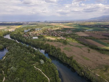 Bulgaristan 'ın Filibe Bölgesi' nin Kostievo köyü yakınlarındaki Blooming tecavüz tarlasının hava manzarası