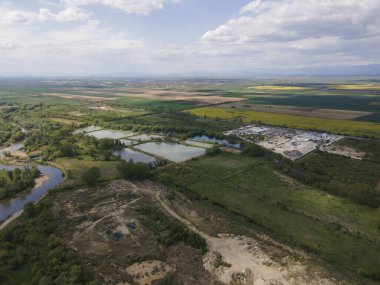 Bulgaristan 'ın Filibe Bölgesi' nin Kostievo köyü yakınlarındaki Blooming tecavüz tarlasının hava manzarası