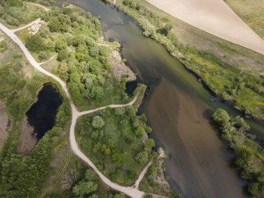 Bulgaristan 'ın Filibe Bölgesi' nin Kostievo köyü yakınlarındaki Blooming tecavüz tarlasının hava manzarası