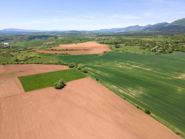 Bulgaristan 'ın Sofya bölgesindeki Godech kasabası yakınlarındaki kırsal arazinin bahar havası manzarası