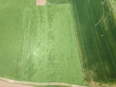 Bulgaristan 'ın Sofya bölgesindeki Godech kasabası yakınlarındaki kırsal arazinin bahar havası manzarası