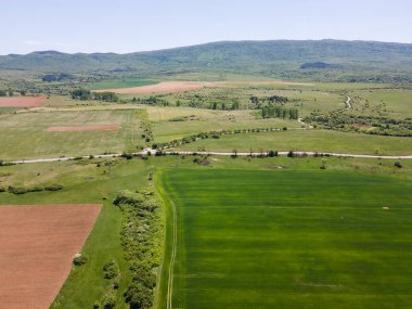 Bulgaristan 'ın Sofya bölgesindeki Godech kasabası yakınlarındaki kırsal arazinin bahar havası manzarası