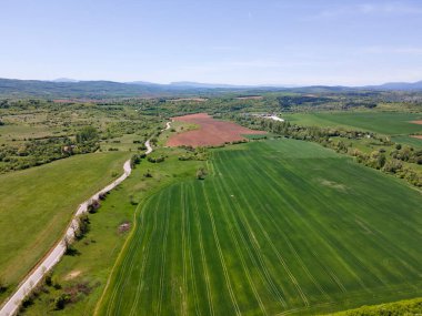 Bulgaristan 'ın Sofya bölgesindeki Godech kasabası yakınlarındaki kırsal arazinin bahar havası manzarası