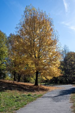 Bulgaristan 'ın Sofya kentindeki South Park' ın şaşırtıcı sonbahar manzarası