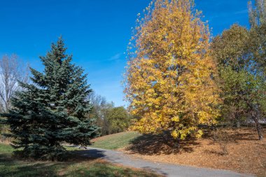 Bulgaristan 'ın Sofya kentindeki South Park' ın şaşırtıcı sonbahar manzarası