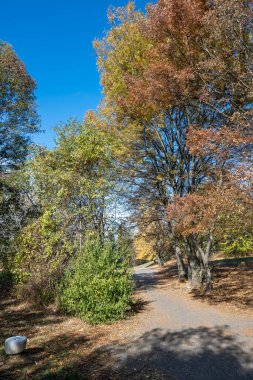 Bulgaristan 'ın Sofya kentindeki South Park' ın şaşırtıcı sonbahar manzarası