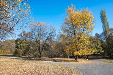 Bulgaristan 'ın Sofya kentindeki South Park' ın şaşırtıcı sonbahar manzarası