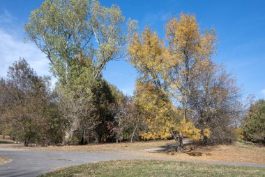 Bulgaristan 'ın Sofya kentindeki South Park' ın şaşırtıcı sonbahar manzarası