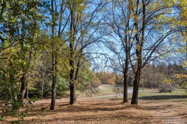 Bulgaristan 'ın Sofya kentindeki South Park' ın şaşırtıcı sonbahar manzarası