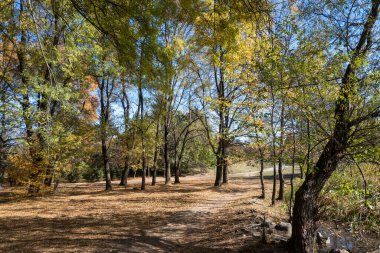 Bulgaristan 'ın Sofya kentindeki South Park' ın şaşırtıcı sonbahar manzarası