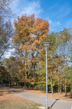 Bulgaristan 'ın Sofya kentindeki South Park' ın şaşırtıcı sonbahar manzarası