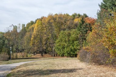 Bulgaristan 'ın Sofya kentindeki South Park' ın şaşırtıcı sonbahar manzarası