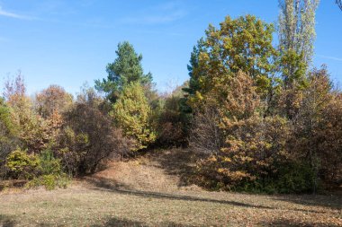 Bulgaristan 'ın Sofya kentindeki South Park' ın şaşırtıcı sonbahar manzarası