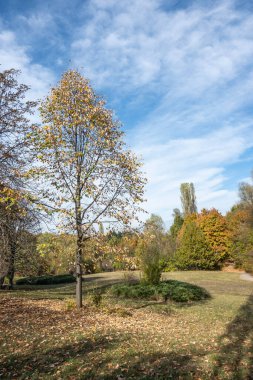 Bulgaristan 'ın Sofya kentindeki South Park' ın şaşırtıcı sonbahar manzarası