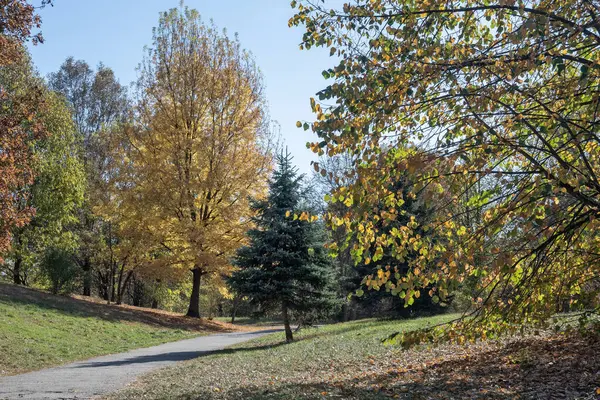 Bulgaristan 'ın Sofya kentindeki South Park' ın şaşırtıcı sonbahar manzarası