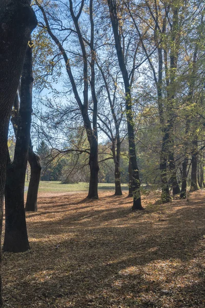 Bulgaristan 'ın Sofya kentindeki South Park' ın şaşırtıcı sonbahar manzarası