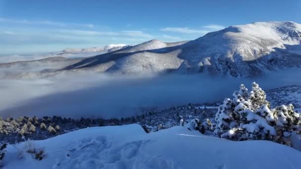 Incroyable Vue Hiver Montagne Rila Près Pic Musala Bulgarie — Video