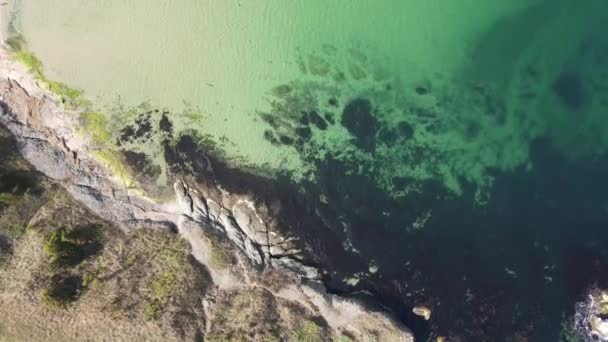 Vista Aérea Costa Del Mar Negro Cerca Playa Coral Región — Vídeo de stock