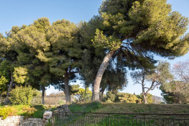Nice, Provence Alpes-Cote d 'Azur, Fransa' nın panoramik manzarası