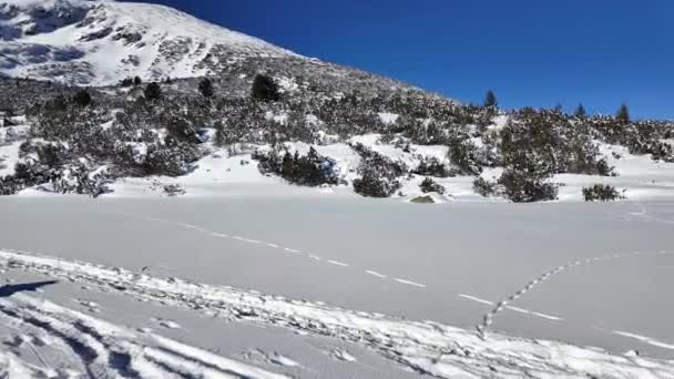 Erstaunliche Winter Ansicht Des Pirin Gebirges Der Nähe Von Polezhan — Stockvideo