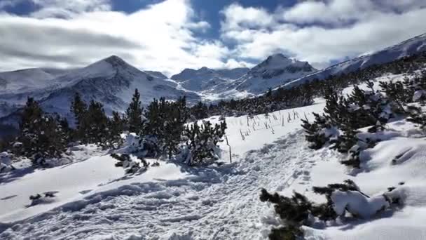Fantastisk Vinter Utsikt Över Pirin Mountain Nära Polezhan Och Bezbog — Stockvideo