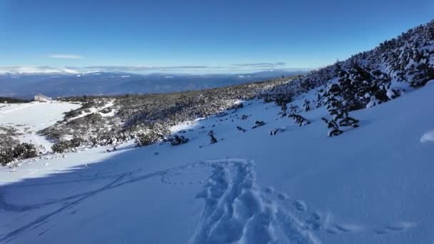 Erstaunliche Winter Ansicht Des Pirin Gebirges Der Nähe Von Polezhan — Stockvideo