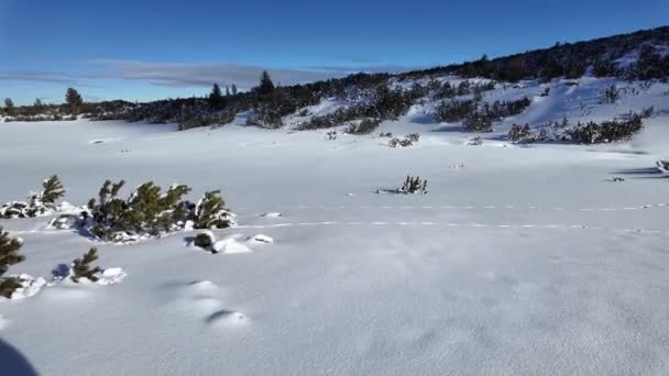 Incroyable Vue Hiver Sur Montagne Pirin Près Polezhan Bezbog Peaks — Video