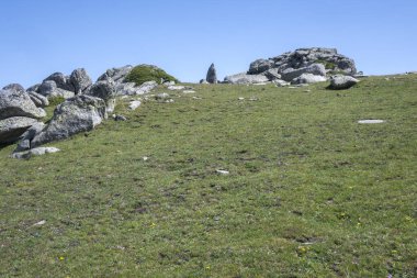 Bulgaristan 'ın Kalin tepeleri yakınlarındaki Rila Dağı' nın İnanılmaz Yaz Manzarası