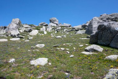 Bulgaristan 'ın Kalin tepeleri yakınlarındaki Rila Dağı' nın İnanılmaz Yaz Manzarası