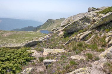 Bulgaristan 'ın Kalin tepeleri yakınlarındaki Rila Dağı' nın İnanılmaz Yaz Manzarası