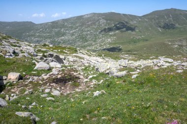 Bulgaristan 'ın Kalin tepeleri yakınlarındaki Rila Dağı' nın İnanılmaz Yaz Manzarası