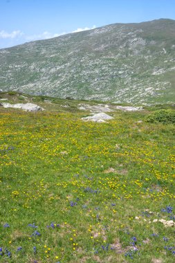 Bulgaristan 'ın Kalin tepeleri yakınlarındaki Rila Dağı' nın İnanılmaz Yaz Manzarası