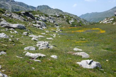 Bulgaristan 'ın Kalin tepeleri yakınlarındaki Rila Dağı' nın İnanılmaz Yaz Manzarası
