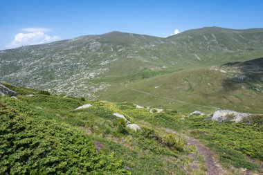Bulgaristan 'ın Kalin tepeleri yakınlarındaki Rila Dağı' nın İnanılmaz Yaz Manzarası