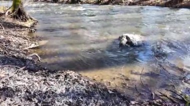 Bulgaristan 'ın Blagoevgrad bölgesindeki Petrich Vadisi' nden geçen Strumeshnitsa Nehri