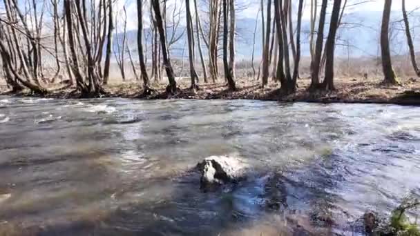 Rio Strumeshnitsa Que Atravessa Vale Petrich Região Blagoevgrad Bulgária — Vídeo de Stock